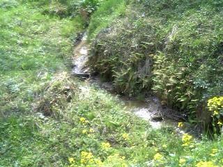 c0032212_6155467.jpg