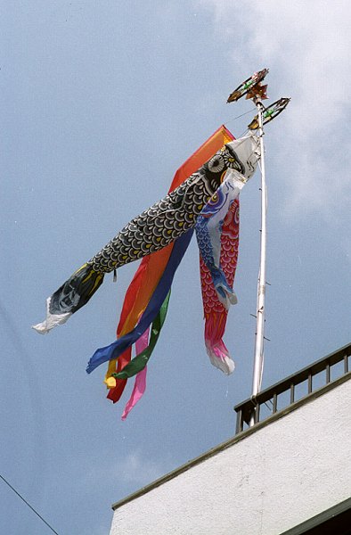 4月１１日(月)　根津神社の｢つつじ祭り｣に行ってきました。_a0022814_9143919.jpg