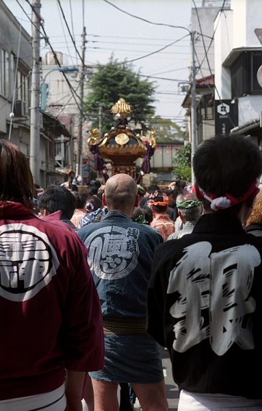 4月１１日(月)　根津神社の｢つつじ祭り｣に行ってきました。_a0022814_9241997.jpg