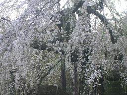 c0004744_22514377.jpg