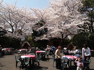 完了_c0017199_7584767.jpg