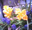 b0042508_010888.jpg