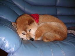 言うぐらいええやろ?_c0049950_21274424.jpg