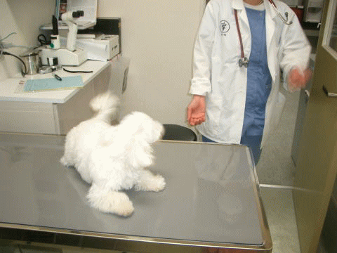 d0000559_15494159.gif
