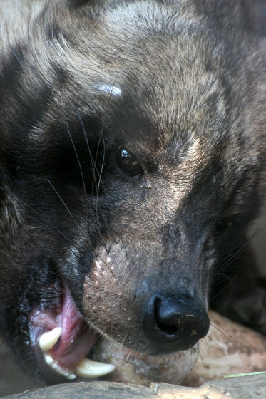 真剣_b0016600_2591423.jpg