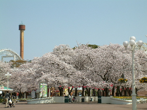 「大阪で食いだおれ　大阪万博記念公園」_a0000029_23501869.jpg