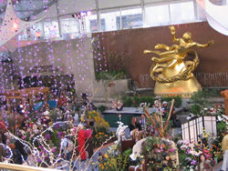c0064534_1257578.jpg
