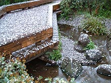 ＊きもちしだい＊　　2005,4,11_a0030038_23525561.jpg