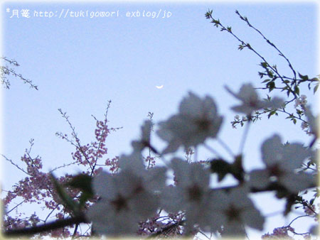 a0019967_21312989.jpg