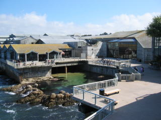 春休み⑦　モントレー水族館_b0058765_2331767.jpg