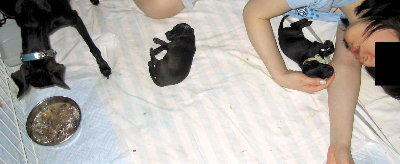 c0059066_1953314.jpg