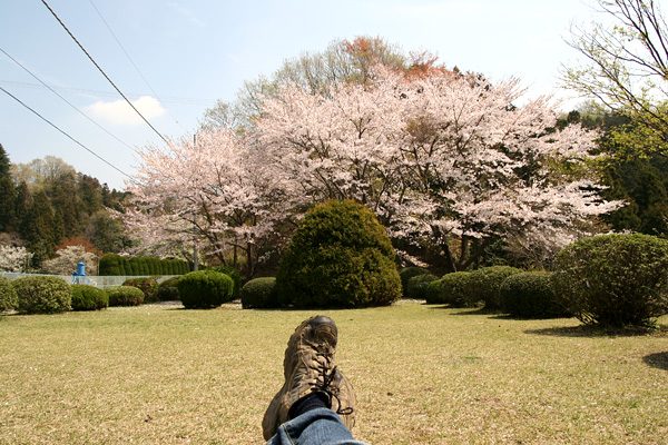 本日の城山湖_c0030717_2261451.jpg