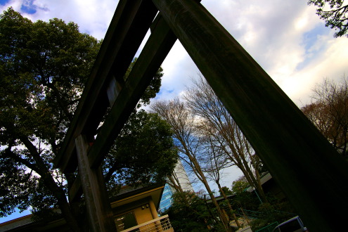 東郷神社_b0053019_23221185.jpg