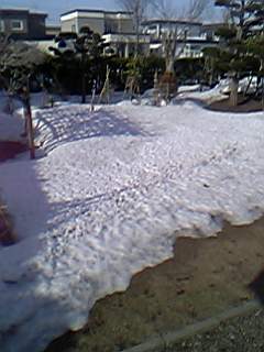 雪融け前（後？）線_b0052125_2345279.jpg