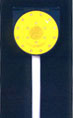 c0017742_2524627.jpg