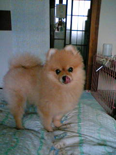 c0062954_2353972.jpg