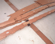 b0061863_21532095.gif