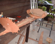 b0061863_21533918.gif
