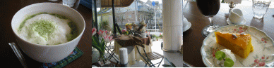 d0020794_1731178.gif