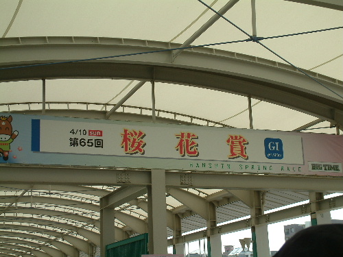 a0000029_1191170.jpg