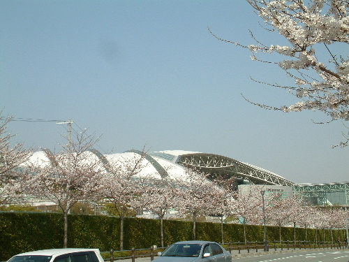 a0000029_1274359.jpg