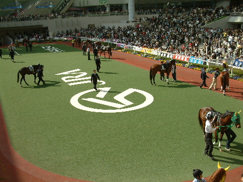 a0000029_1295991.jpg