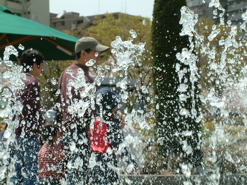a0000029_1303261.jpg