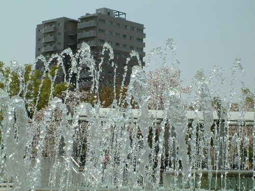 a0000029_1322192.jpg