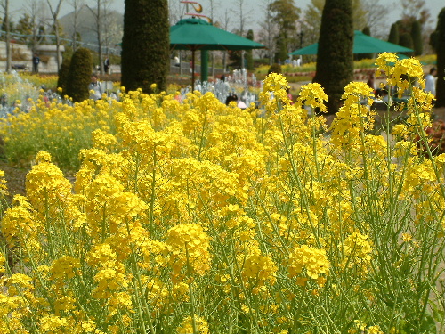 a0000029_1333942.jpg