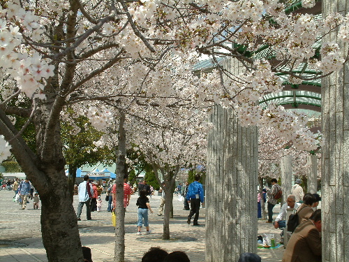 a0000029_1342653.jpg