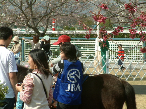 a0000029_1365132.jpg