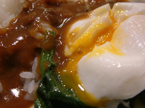 「大阪最後のしめくくり サンマルコのカレー」_a0000029_2151320.jpg