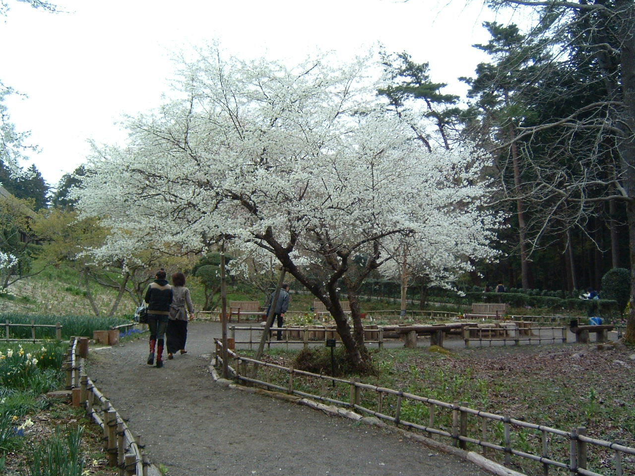 c0030954_19234879.jpg
