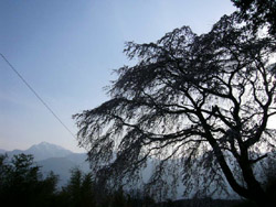 c0016363_16037.jpg