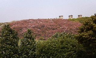 b0021766_2021073.jpg