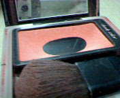 c0048381_25088.jpg