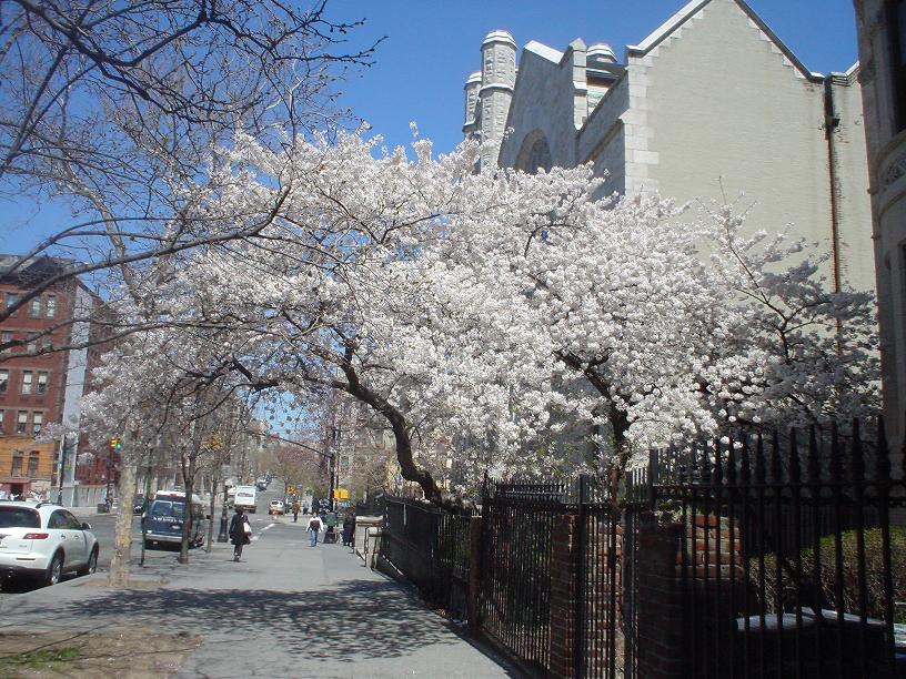 c0062495_1032995.jpg