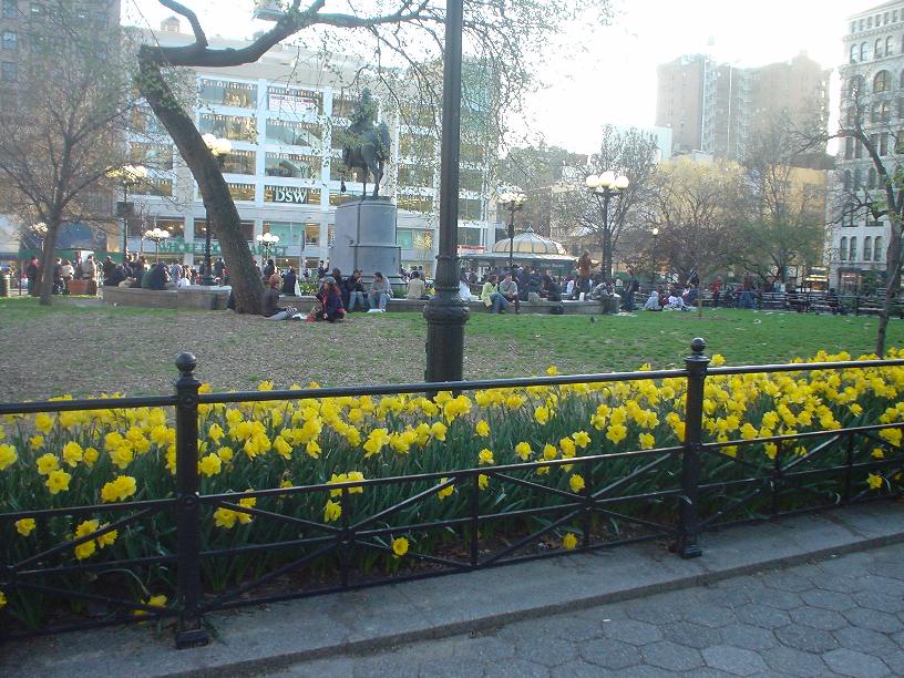c0062495_1043030.jpg