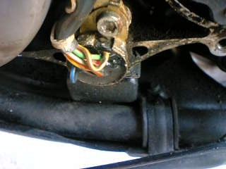 c0029901_1239449.jpg