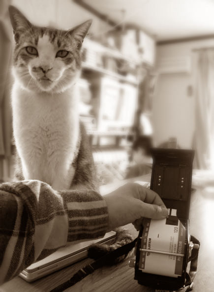 Rolleiflex Automat MX_b0060239_7555013.jpg