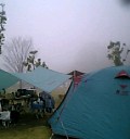 霧の朝 …_b0008655_100049.jpg
