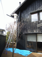 b0061863_22344162.gif