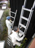 b0061863_22381643.gif