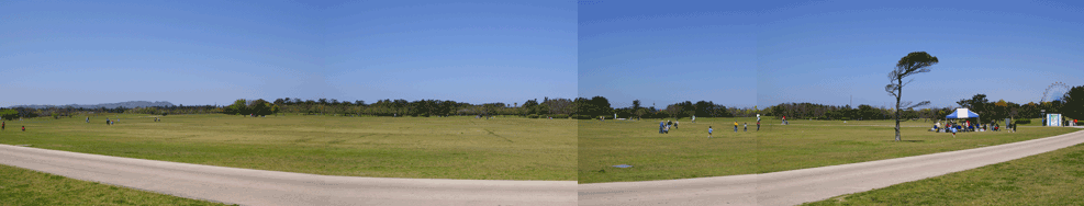c0012819_21541616.gif