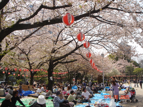 HANAMI!_b0068622_0152240.jpg