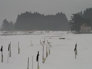 b0005662_10179.jpg