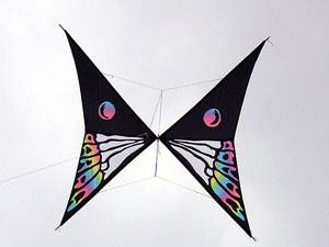 最新作！Papillon_d0030510_14474033.jpg