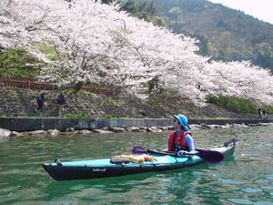 海津大崎お花見ツーリング_0_b0001154_14895.jpg