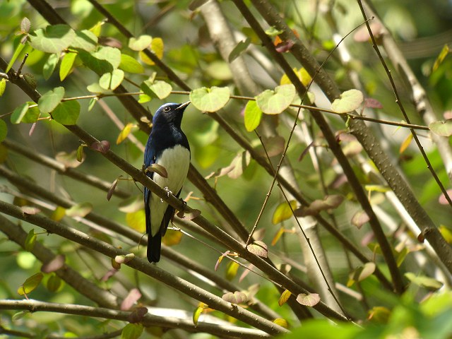 b0069564_19415931.jpg
