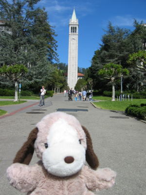 Cal Day @ U. C. Berkeley_b0058765_4303366.jpg